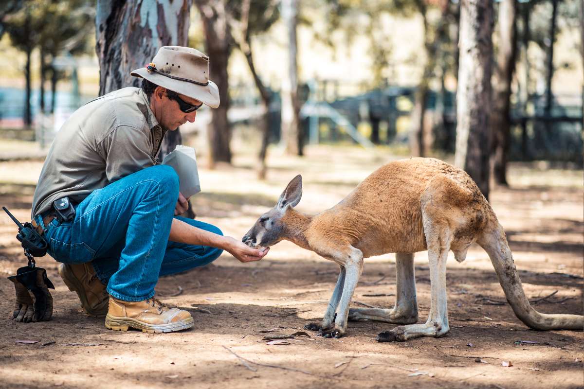 Zoom sur le métier de soigneur animalier